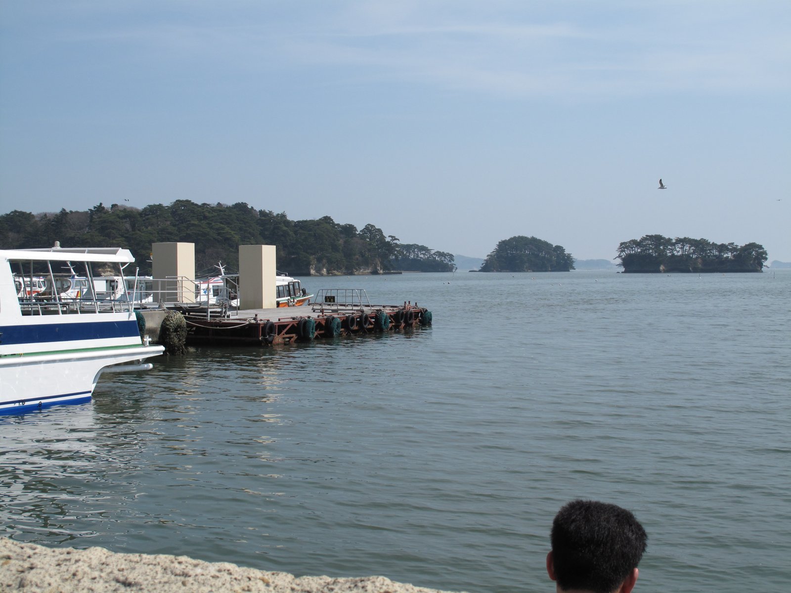 Sightseeing boats with pine-covered islands behind