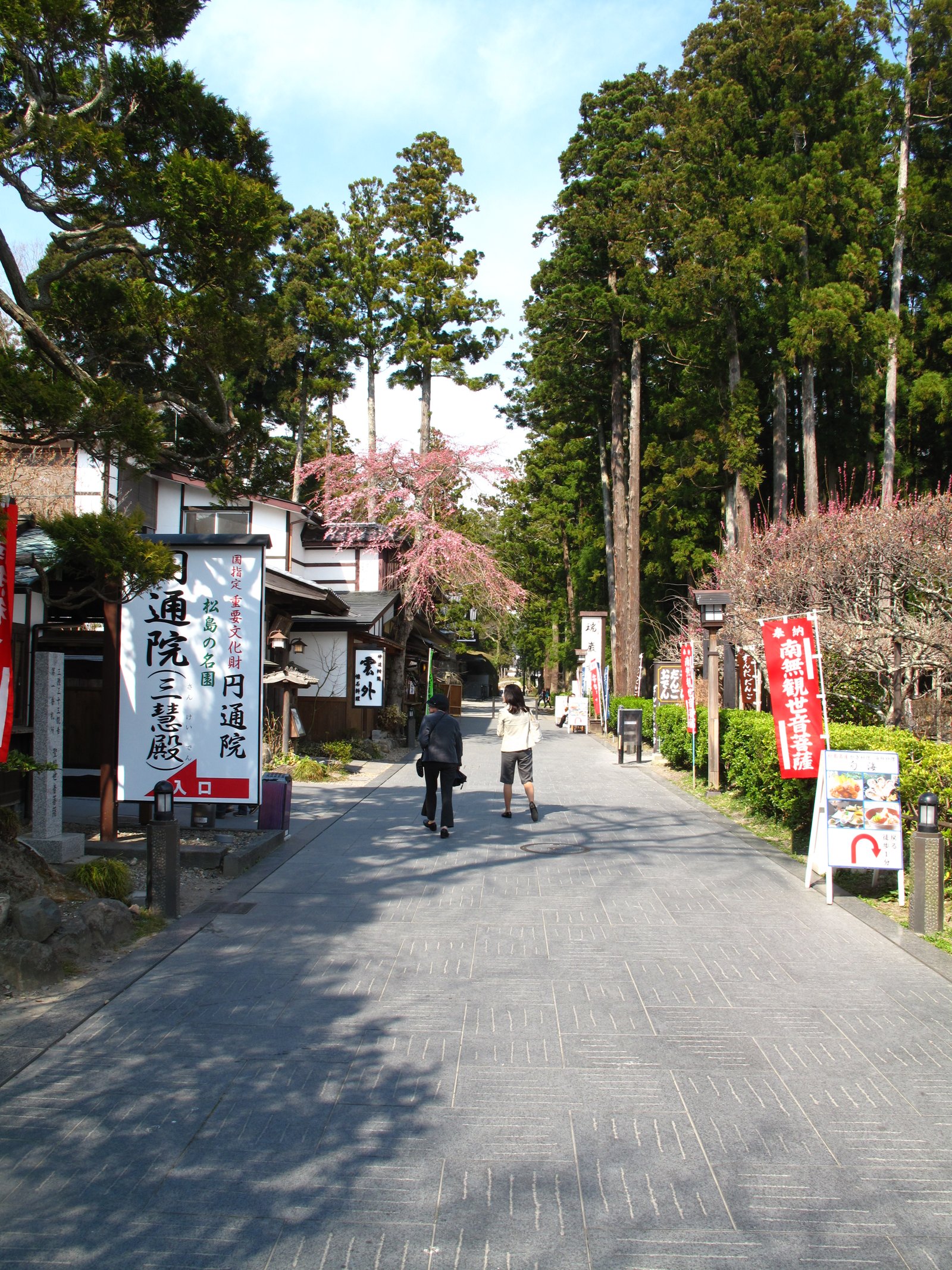 A side road with shops and trees