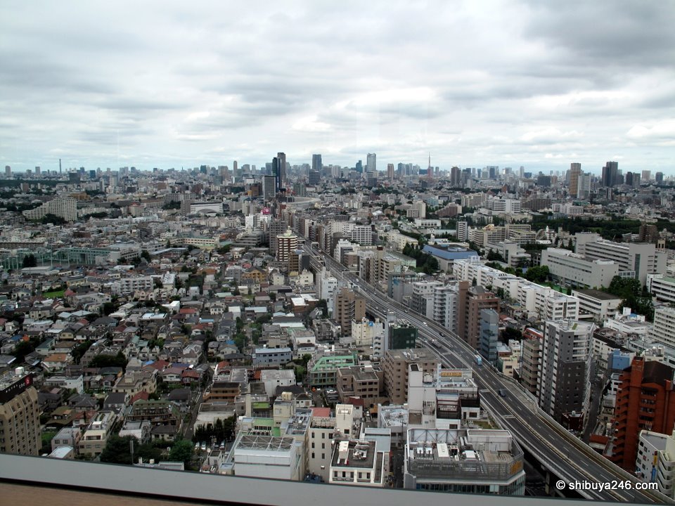 A wide view over low-rise Tokyo under grey clouds