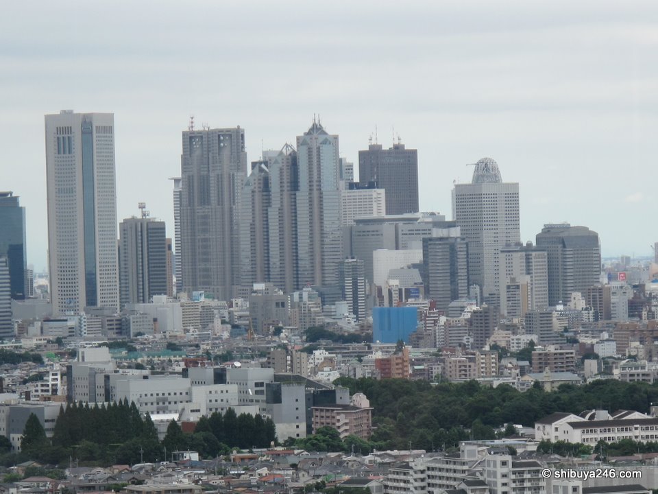 Carrot Tower, Sangenjaya