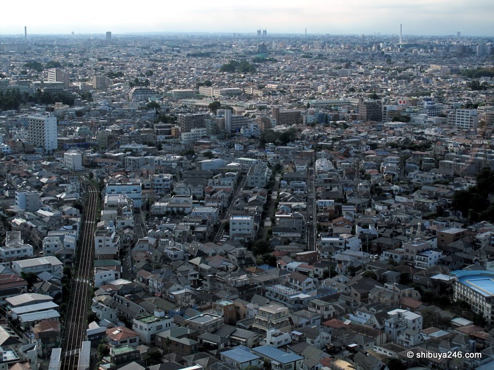 Dense housing stretching to the horizon