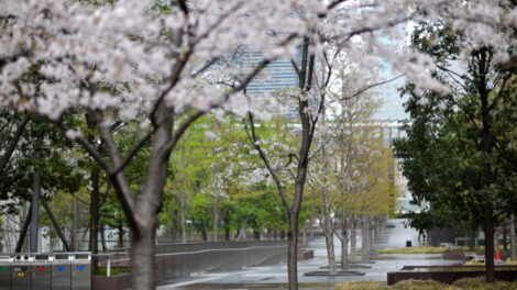 aa