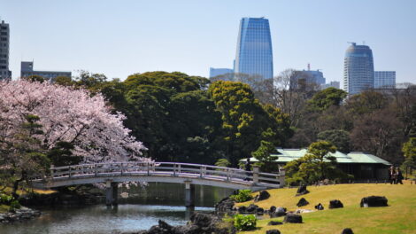 aa