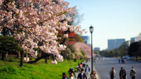 aaa