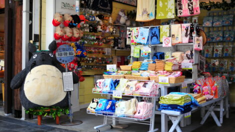 Tonari no Totoro store