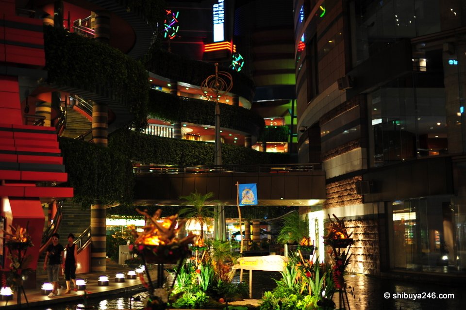 Plants and lights along the canal at night