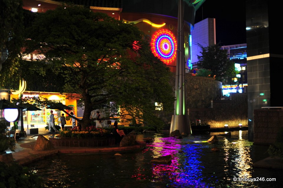 Coloured lights reflected in water beside trees