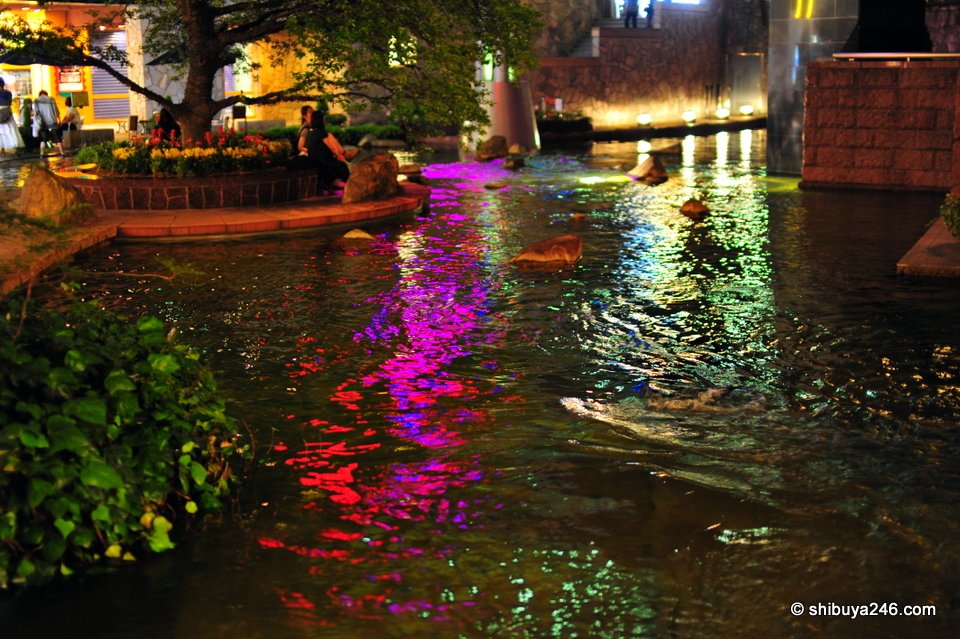 Pink and purple reflections on the canal water