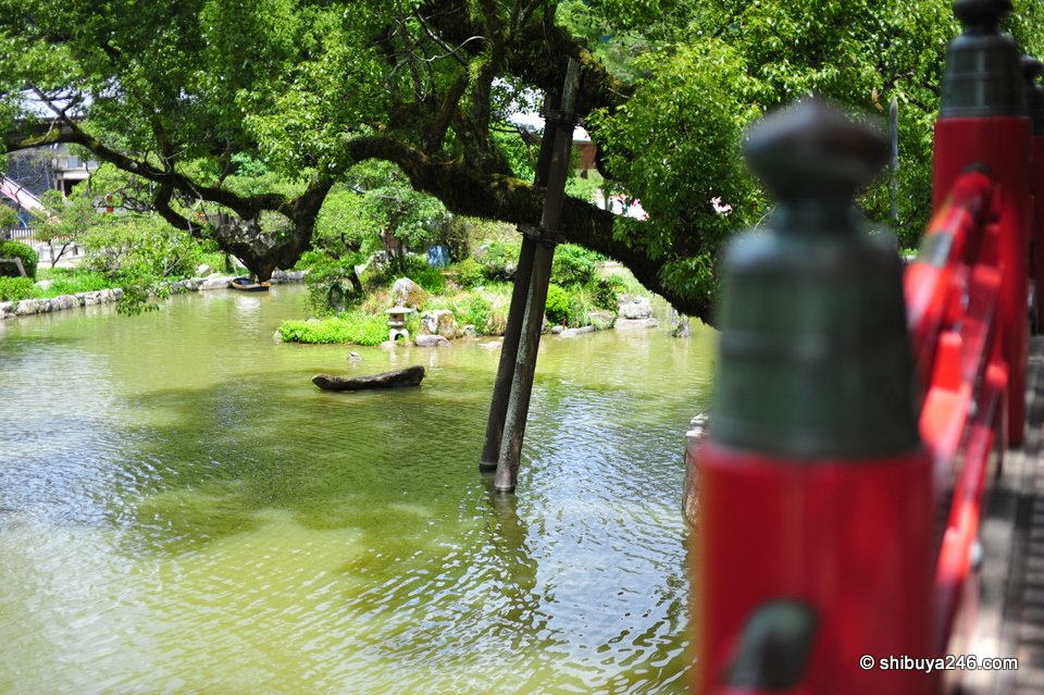 A green pond with a tree and red railings