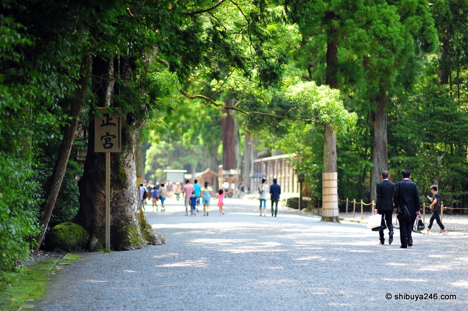 Visitors walking down a broad gravel path under tall cedars
