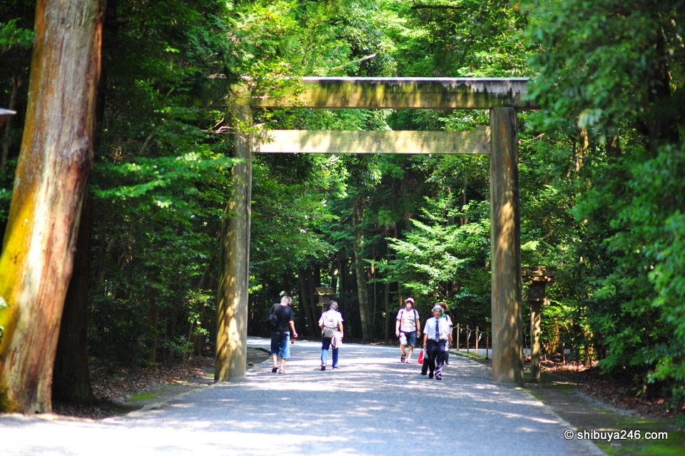 A wooden torii framed by dark green trees