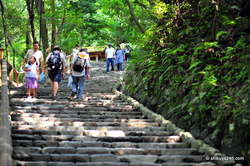 Visitors climbing wide stone steps in the forest