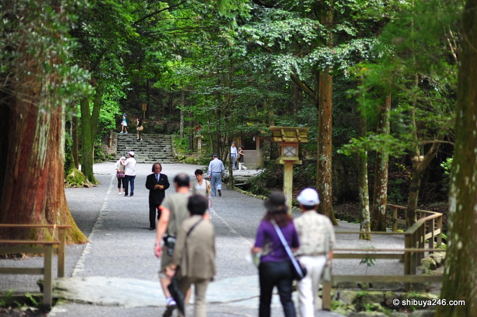 People walking along a forest path
