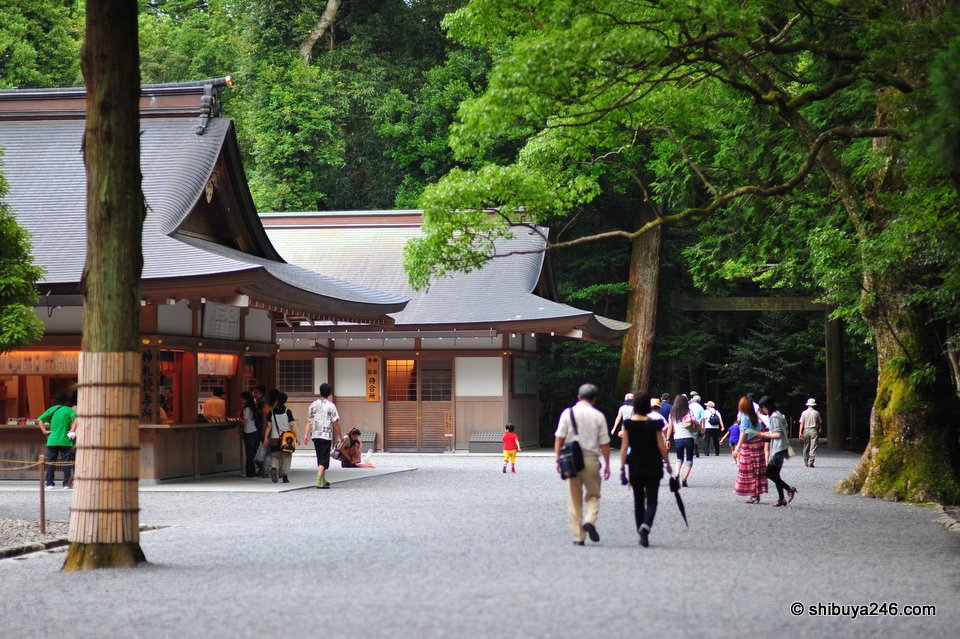 A wooden building at the edge of the forest