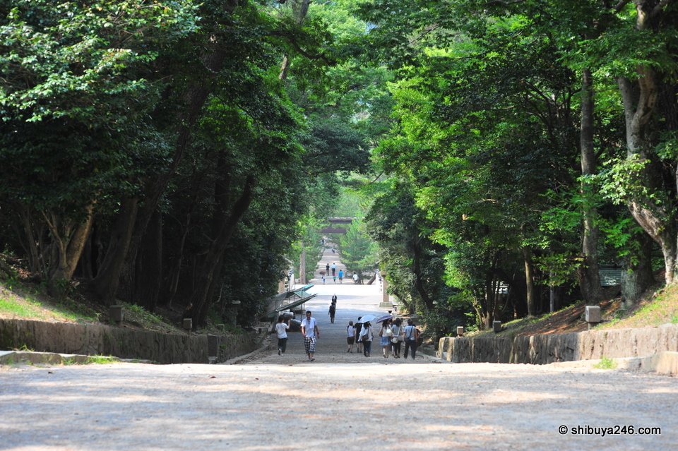 A wide gravel path sloping down through trees