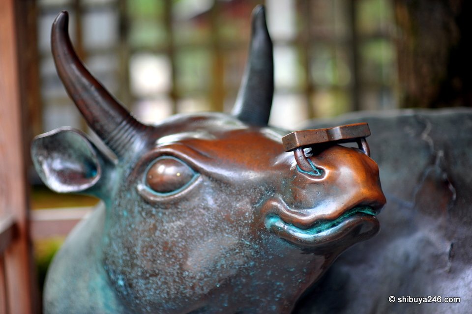 A bronze ox head close up