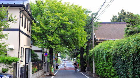 aa
