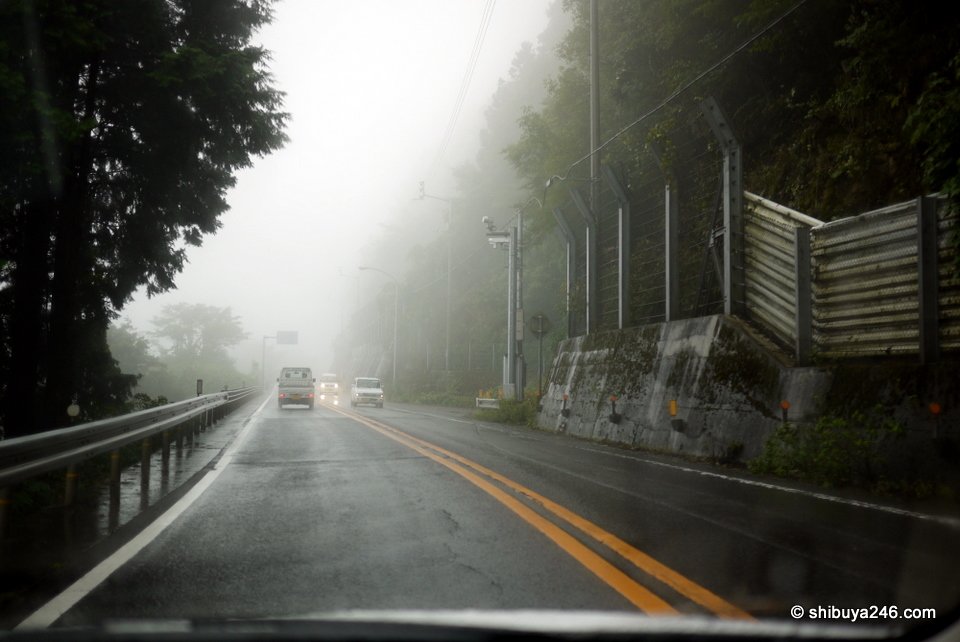 A wet road disappearing into fog between trees