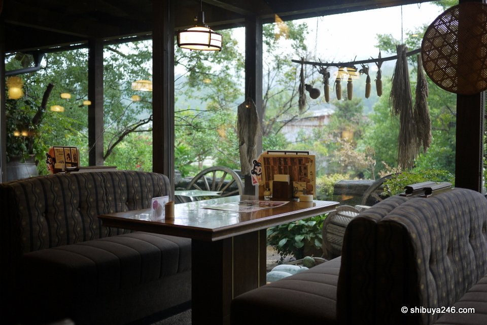 Looking out from a restaurant window at the rain and trees