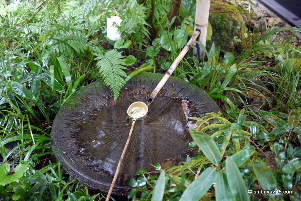 A small bamboo water spout dripping onto a stone basin among ferns