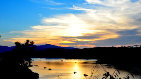 aa