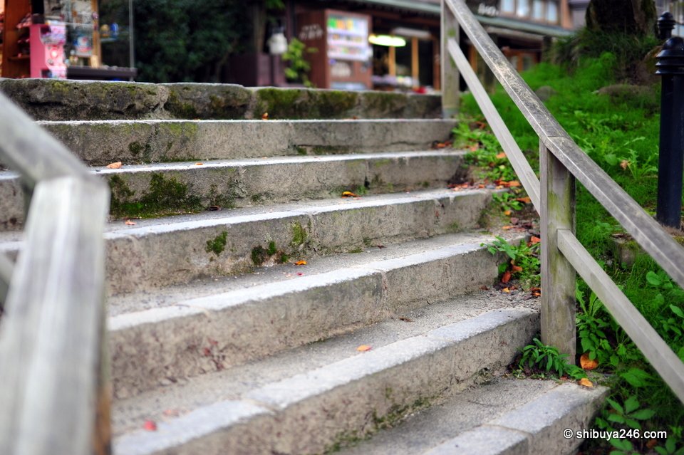 Old stone steps with a wooden railing