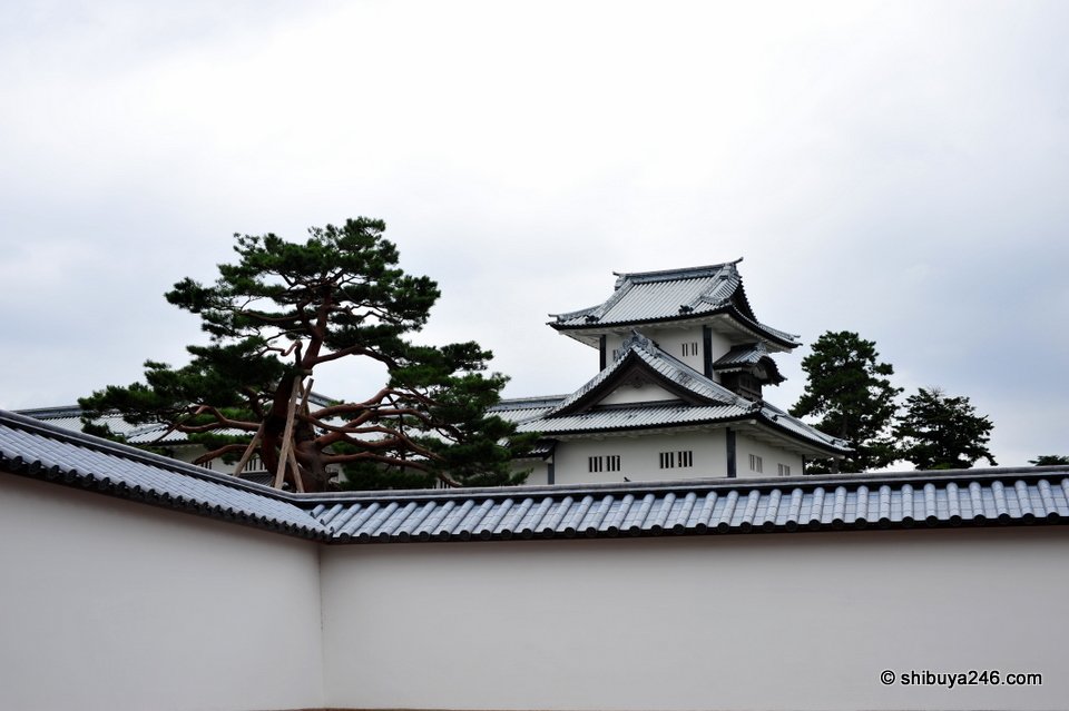 A castle turret behind a white wall and pine tree