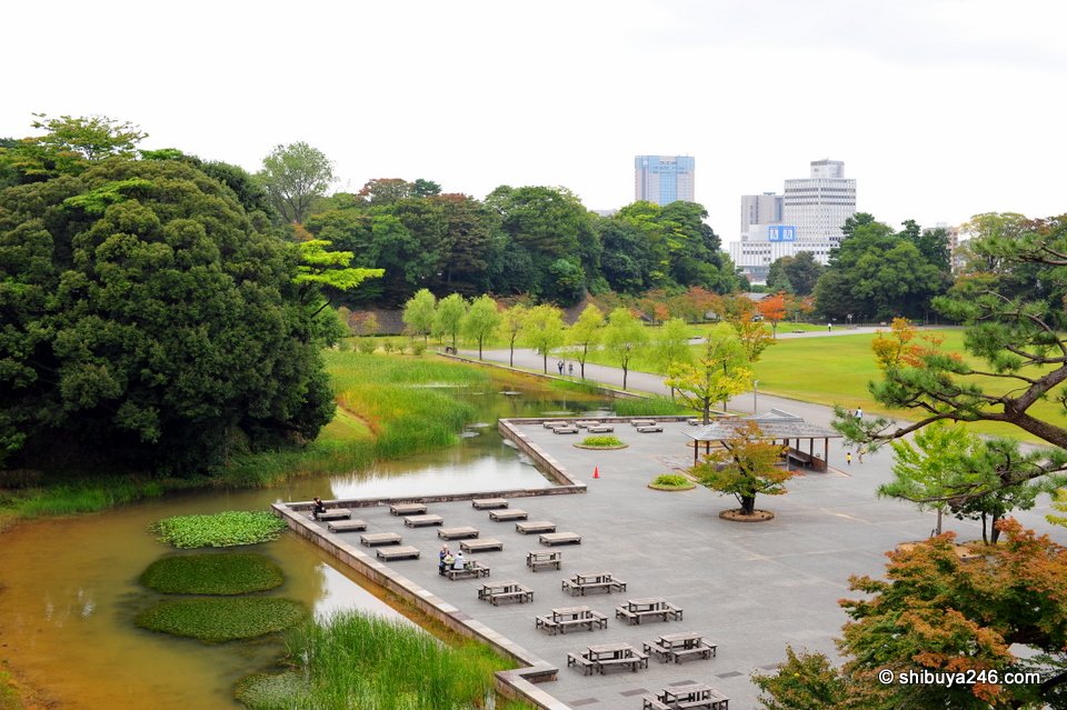 A wide view of lawns and trees in the castle grounds