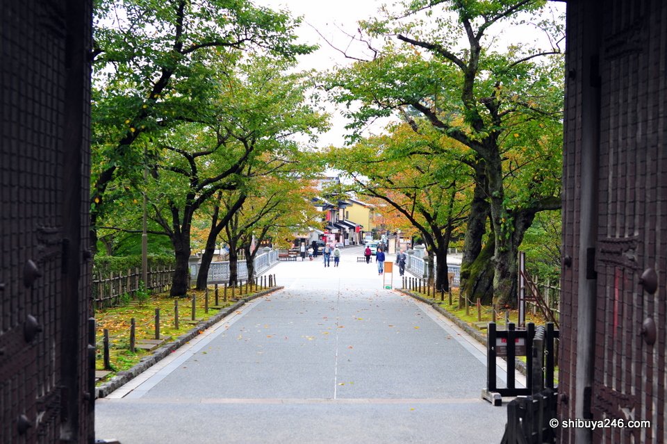 A path leading out through an open gate