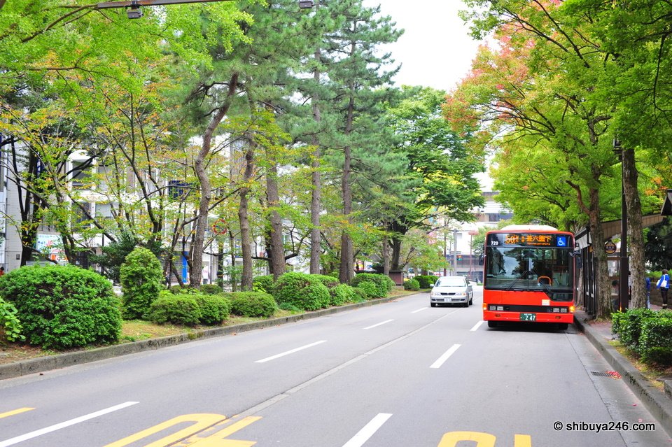 A red city bus on a tree-lined road