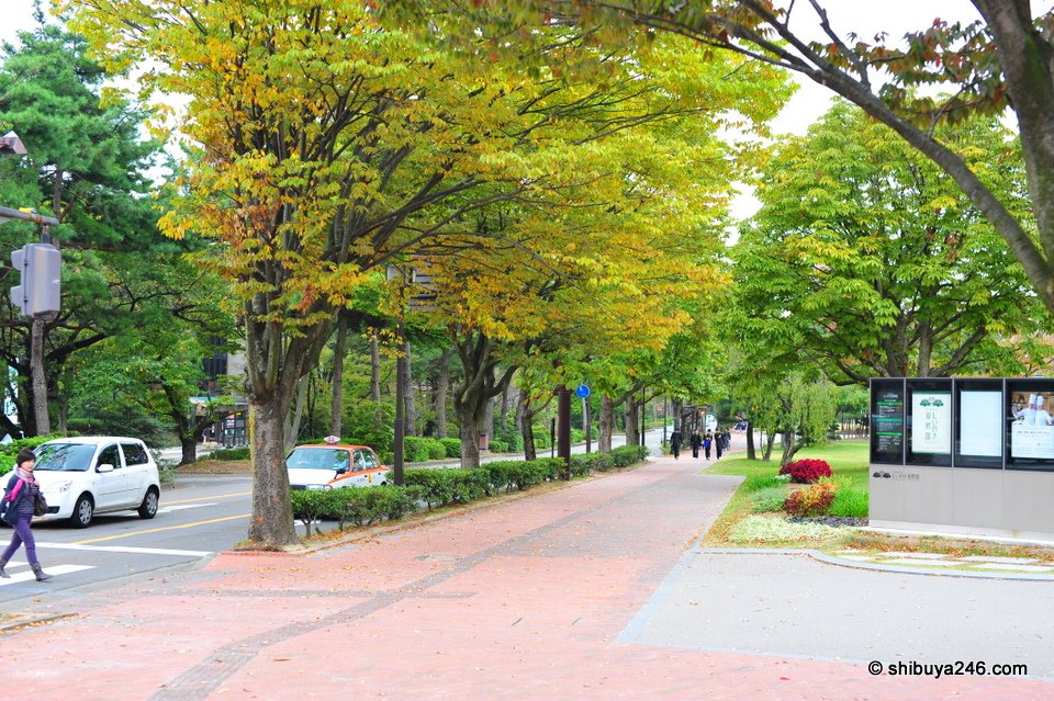 A wide pavement lined with trees beginning to turn