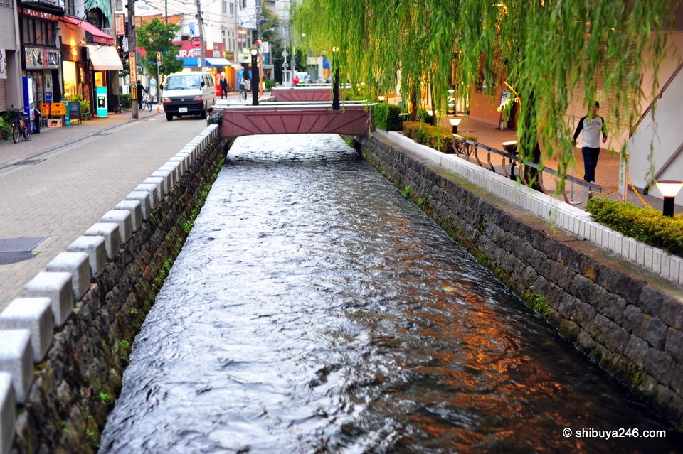 A narrow canal running beside a street with willow trees