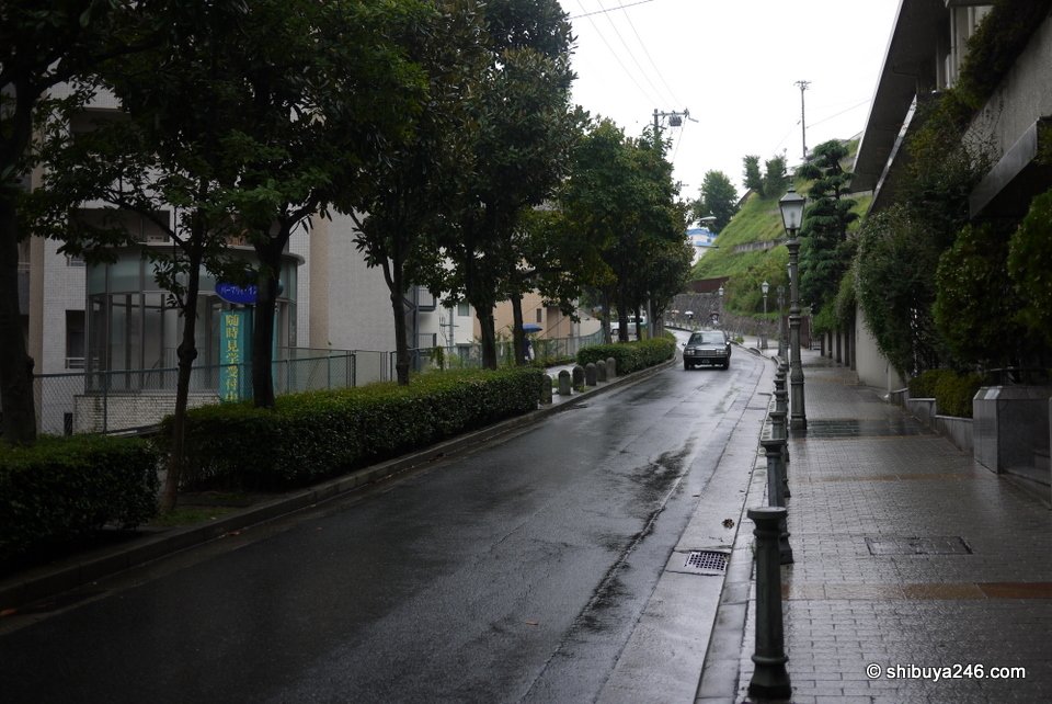 A wet street lined with trees in the rain