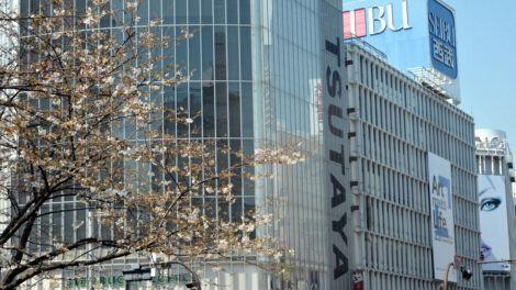 Shibuya Sakura