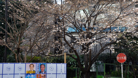 Tokyo Elections