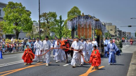 Aoi Matsuri