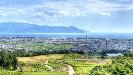 View from Shizuoka