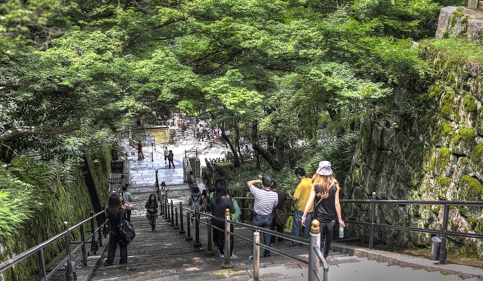 A shaded path through green trees below the temple