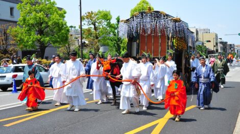 Aoi Matsuri