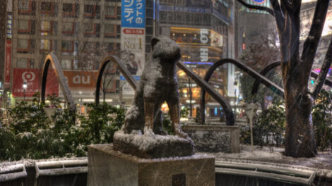 Hachiko