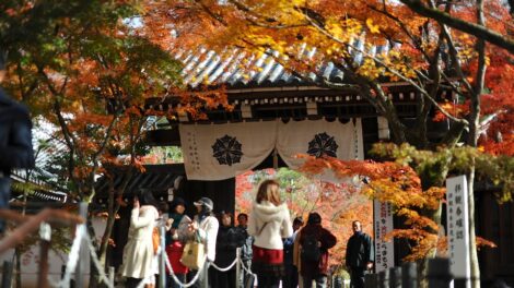 Eikando Autumn