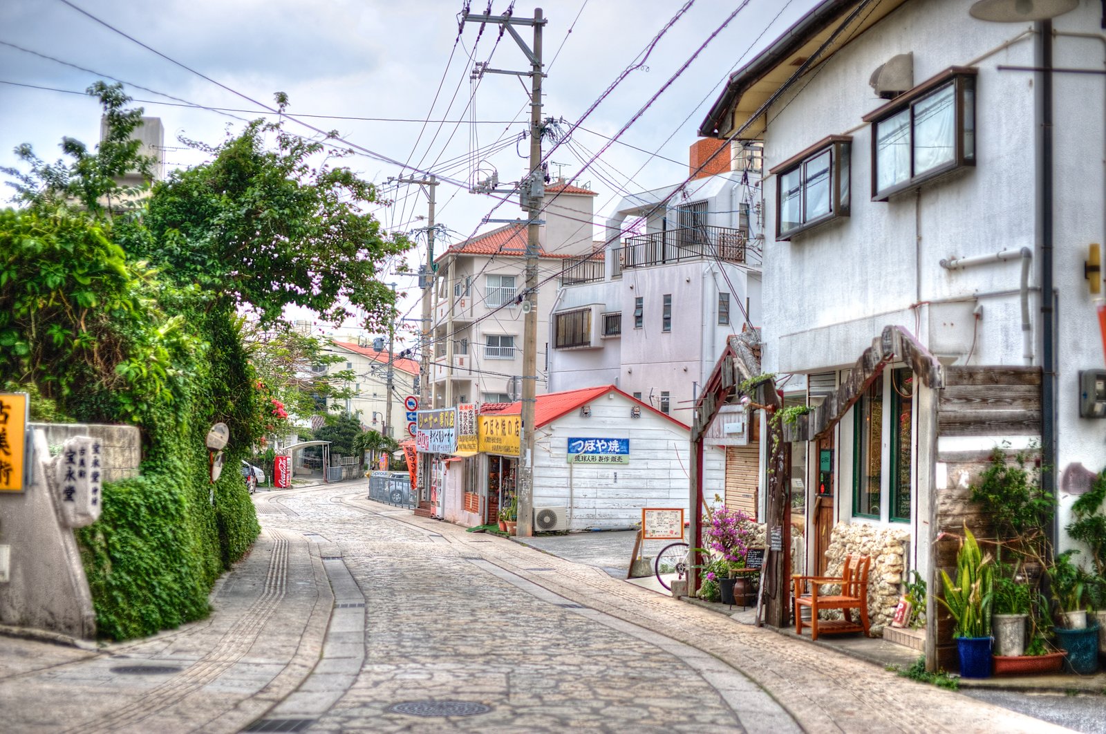 A narrow street with stone paving and plants