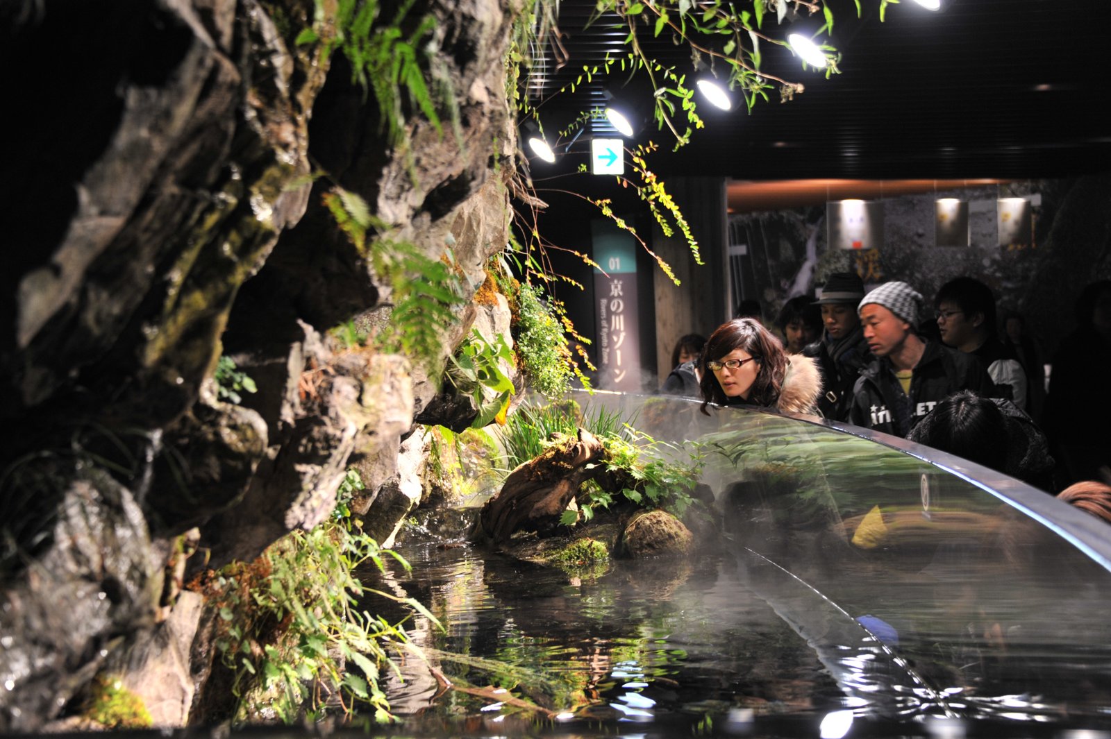 A rocky stream display with visitors looking in