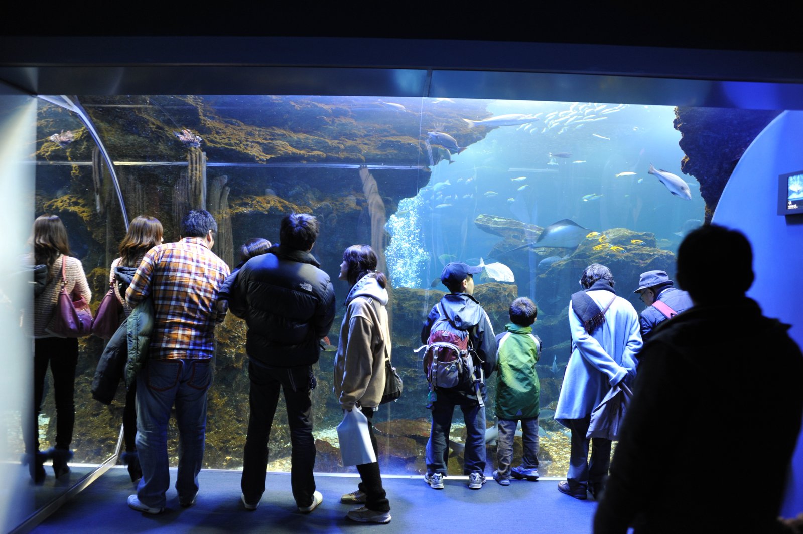 Visitors watching a large tank