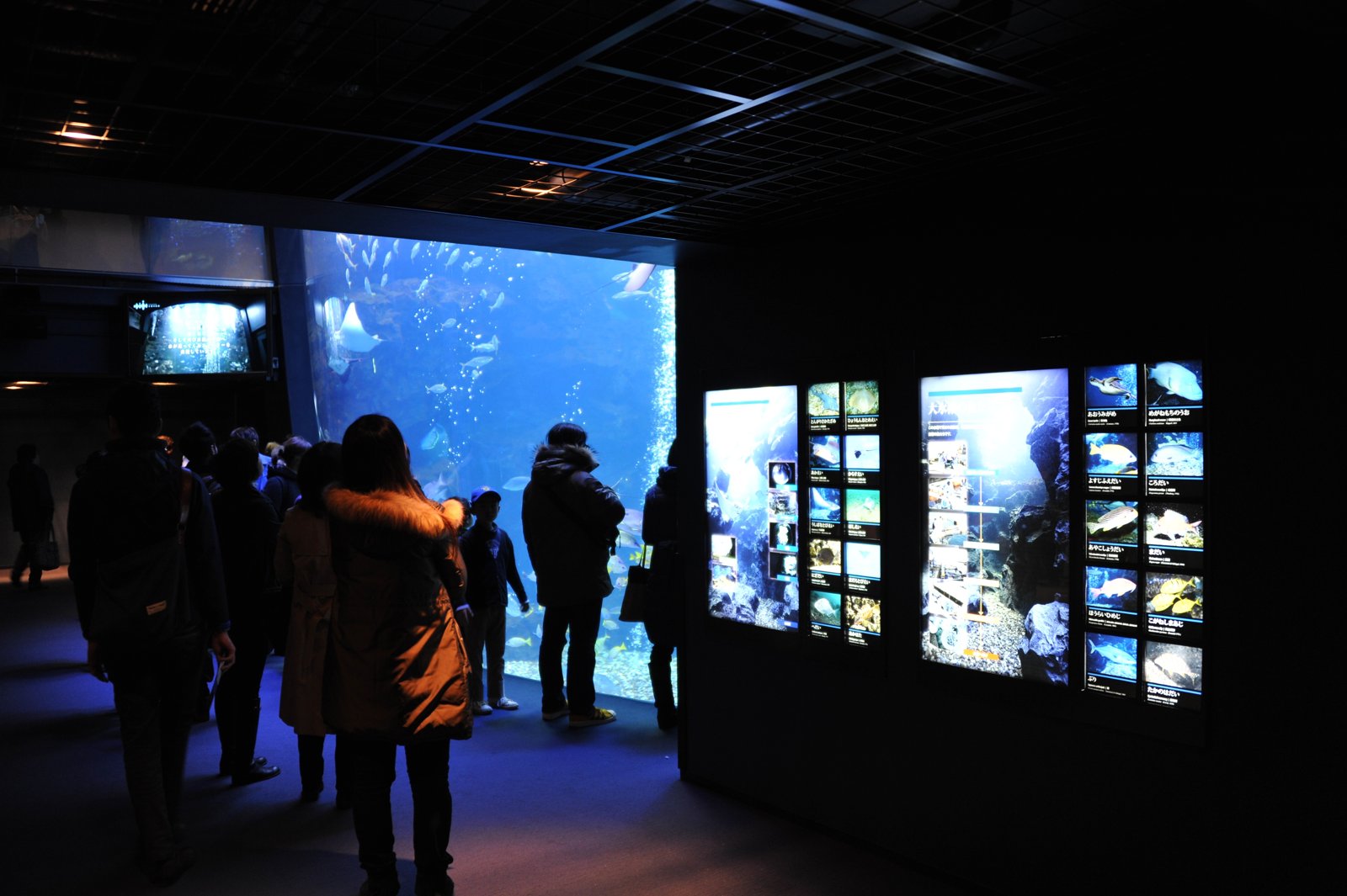 A dark hall with a large tank and screens