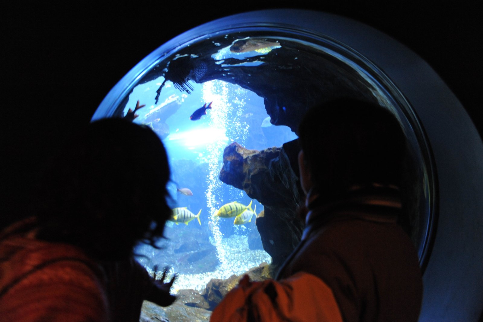 Two people looking into a round porthole window