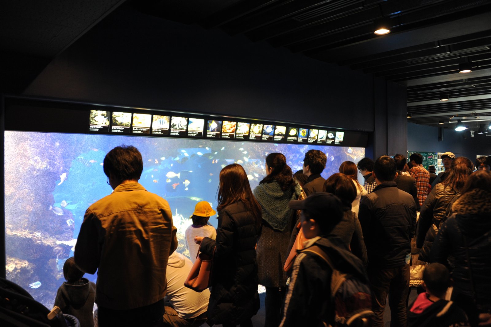 A crowd in front of a long wide tank