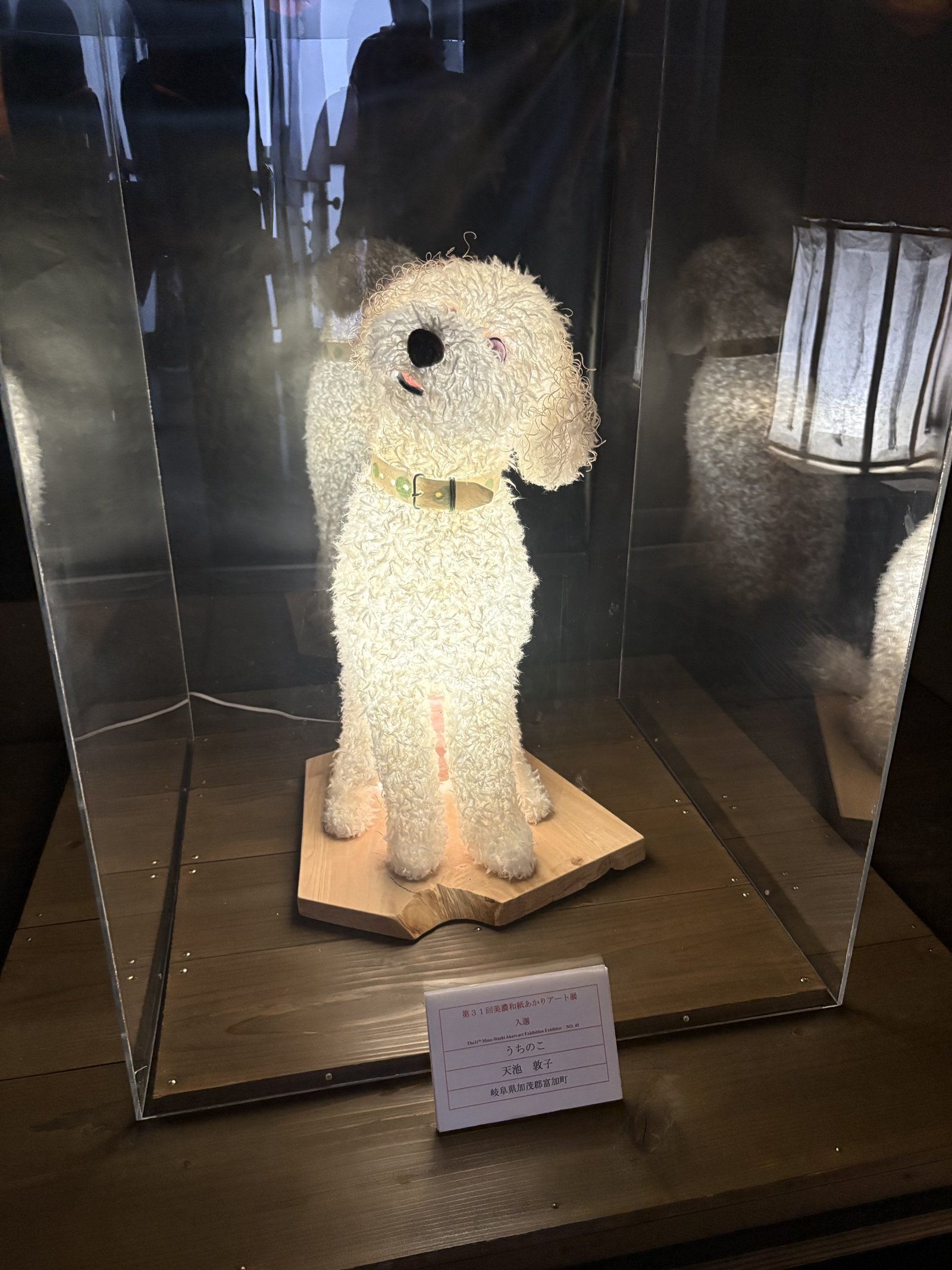 A poodle sculpture made of curly white paper, lit from inside a glass case