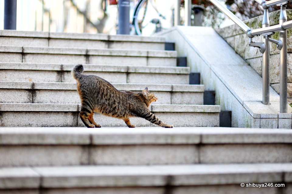 Doing some stretches before heading out for a big night on the town.