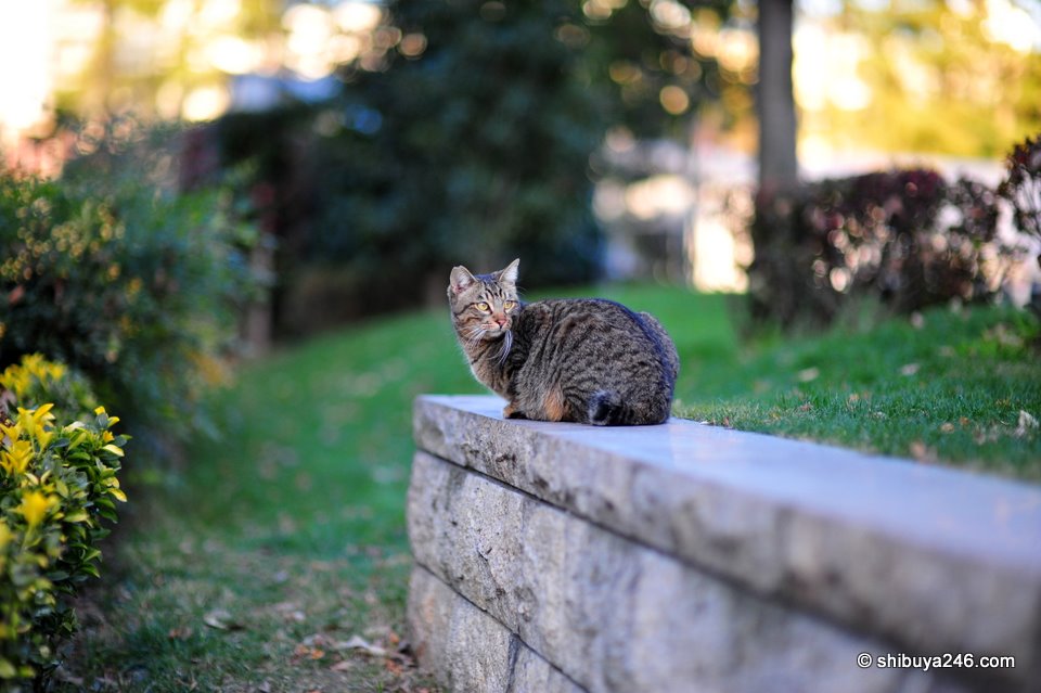 Is someone coming?